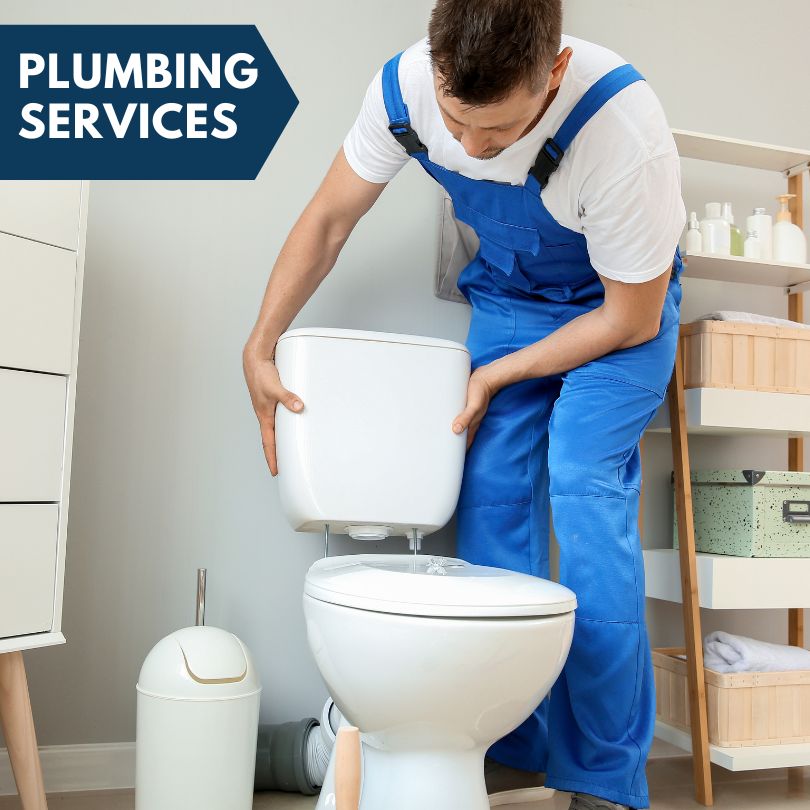 Plumbing Company in Nemaha, IA